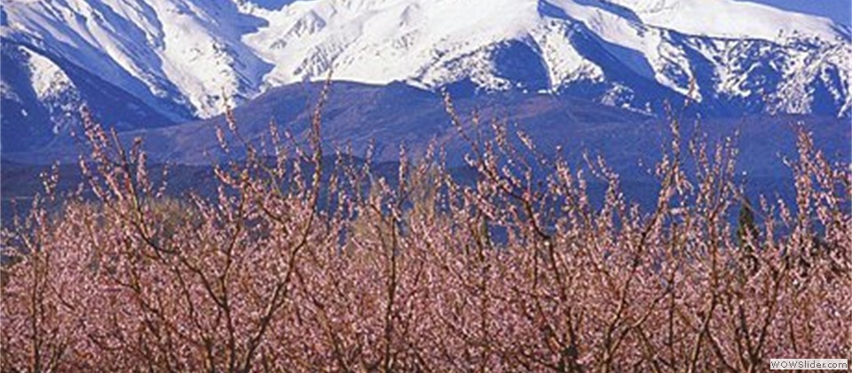 Canigou-printemps[1]